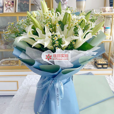 衢州8支白色多头百合洋甘菊，互倾的思念