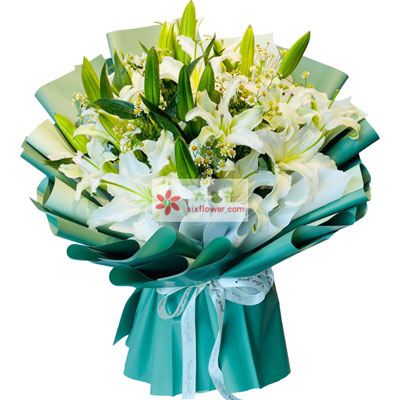 衢州8支白色多头百合洋甘菊，如潮的思念